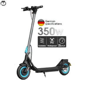 China Supplier Elektro Roller 36V Lithium Battery Intelligent 10inch Big Air Tyre E Scooters with 2 Brakes