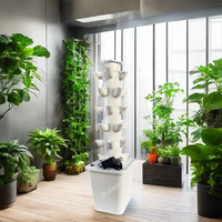 Offre Spéciale agricole maison jardin intérieur vertical agriculture 6 8 10 couches hydroponique aéroponique ananas tour de culture avec pompe