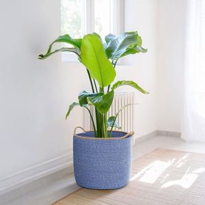 Cesto per Bucato in Vimini con Coperchio, Decorazione <span class=keywords><strong>da</strong></span> Parete in Rete Personalizzata per Bagno, Cubo Crescente Blu - Product Image 1