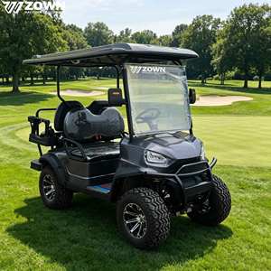 Carrito de Golf Eléctrico de Alta Calidad de 48V y 2 Plazas con Certificación CE, Alcance de 90 km para Campos de Golf y Clubes Campestres - Product Image 1