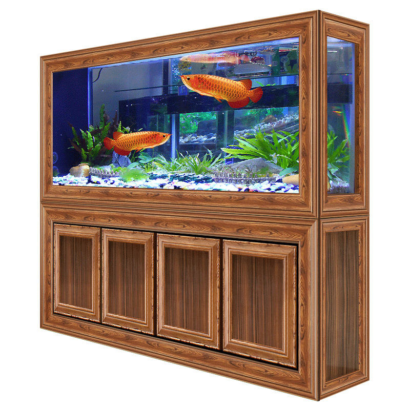 Couleur du bois de pomelo