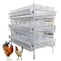 Cage à volailles de type H en fil galvanisé pour le ramassage automatique des œufs et des poules Poulailler Cage à batterie Mangeoire automatique