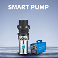 Pompe submersible industrielle à aimant permanent en acier inoxydable, moteur triphasé 100 % fil de cuivre, immersion dans l'huile, pour usage agricole