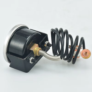 Manomètre capillaire de haute qualité à prix avantageux, manomètre capillaire pour chaudière - Product Image 3