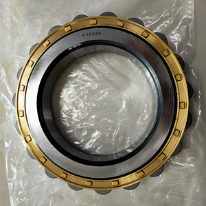 Roulements à rouleaux cylindriques excentriques RN307 RN307M RN307E RN307EM pour convoyeurs et machines industrielles lourdes - Product Image 1