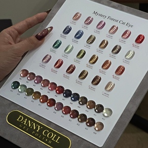 ZRKGEL Set di 24 Colori Nuova Serie Cat Eye, Smalto Gel Magnetico Riflettente Senza HEMA/TPO, Etichetta Privata OEM ODM - Product Image 4