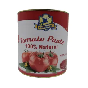 Professional OEM Tomato Ketchup Factory Low Price Canned Tomato Paste Ketchup for Family 305g Glass Bottle Bottle Packaging Red