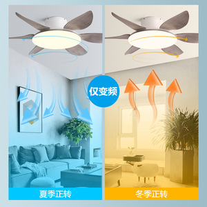 Nordic Style <b>Ceiling</b> Fan <b>Light</b> With Led Fixed Blade For Living Room And Bedroom - Product Image 4