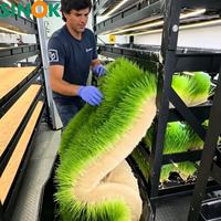 Serre conteneurisée Sinok 500 kg/jour, système hydroponique entièrement automatique pour fourrage et herbe, conteneur maritime intelligent de 20 pieds