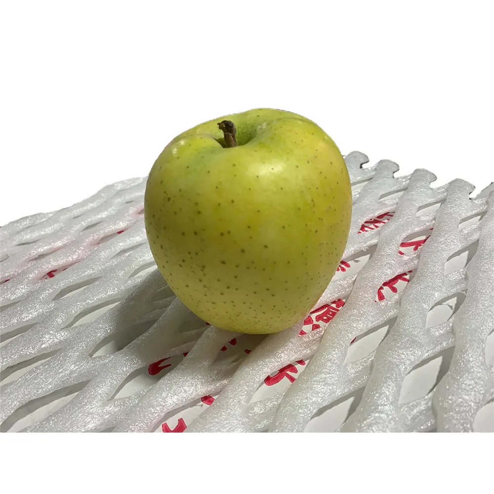 Takamatsu Daiichiseika 10kg 후지 사과 가격 수입 일본