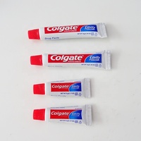 Mini brosse à dents jetable d'hôtel et fabricant de dentifrice à la menthe