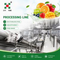 Directe Fabrieksverkoop Iqf Diepvriesproductie Bevroren Aardbeien Fruitgroente Verwerkingsmachines Lijn Voedselverwerkingslijnen
