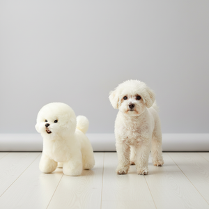 Orsacchiotto giocattolo morbido Bichon Friese peluche cane di Faithful