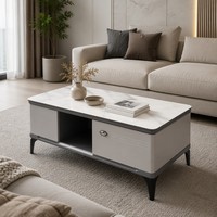 Table basse de salon moderne en bois élégant, style italien, avec pieds courbes fins, finition gris mat, tiroir à ouverture par pression et panneau en verre technologique, pour vente en gros