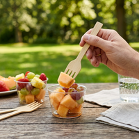 Vaisselle jetable en bambou, compostable, sans BPA, au meilleur prix, idéale pour les restaurants ou les barbecues.
