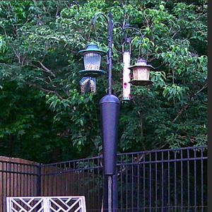 Soporte Metálico para Comedero de Pájaros Tj-027, 2.3m, con Gancho para Colgar en el Suelo, para Uso en Jardín Exterior - Product Image 4