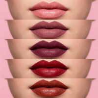 NOUVEAU Rouge à lèvres mat à label privé, imperméable, longue tenue, velours, gloss nude, lisse, non collant, maquillage cosmétique