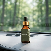Diffuseur d'arômes pour voiture en bouteille de verre, huile de recharge, parfum longue durée, évaporation naturelle pour éliminer les odeurs de voiture