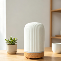 Diffuseur d'arômes en céramique USB 200 ml, décoration d'intérieur, humidificateur d'air