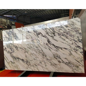 Losas de Mármol Calacatta Viola TMZ, Piedra Natural Italiana, Moderna y Ecológica, Grosor Personalizado, Acabado Pulido, para Baño y Cocina - Product Image 6