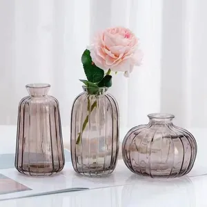 हॉट सेलिंग नए रचनात्मक विकसित ग्लास वेस होम टेबल सजावट छोटे स्पष्ट फूल रंग ग्लास वेस-खरीदें ग्लास वेस, फूल गलास