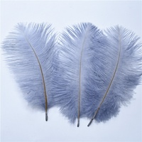 Plume d'autruche colorée de 6-8 pouces en stock pour la décoration de robes de mariée de fête, pas cher