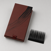 Extensions de cils individuelles mates naturelles longues en PBT 25 mm faites à la main faciles à éventaillement douces et naturelles