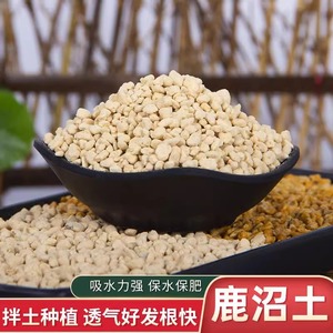Gránulos de Tierra Kanuma para Plantar Suculentas, Bonsáis y Orquídeas, con Buena Aireación y Retención de Agua, de Japón - Product Image 3