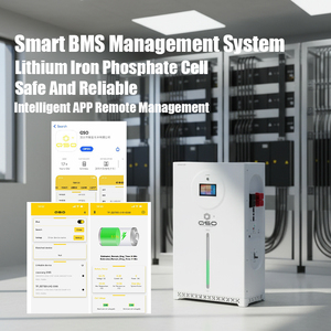 Batteria agli Ioni di Litio QSO Lifepo4 51.2V 314AH 16kWh Tutto in <span class=keywords><strong>Uno</strong></span>, Sistema di Accumulo Energetico 15-16 kWh per Impianti Off-Grid 48V - Product Image 5