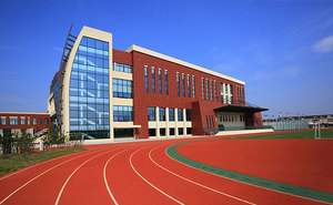 Edificio escolar prefabricado moderno, aulas prefabricadas, uso de construcción de metal de varios pisos para biblioteca/comedor/Aula de acero - Product Image 6