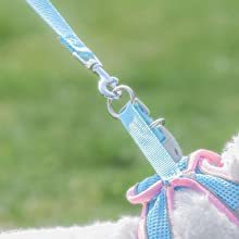 中小犬用の反射調節可能なベストハーネスとリーシュセットのプルソフトメッシュなしワンステップ - Product Image 5