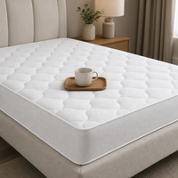 Matelas Queen à ressorts ensachés, compressé sous vide en boîte, idéal pour appartement, OEM