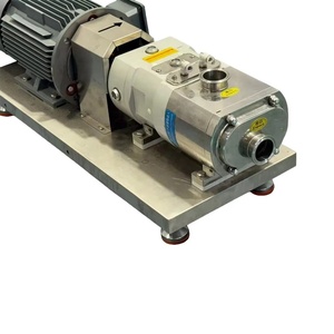 Bomba de Doble Tornillo Autocebante de Alta Eficiencia y Dirección Reversible para Transporte de Partículas Sólidas - Product Image 2