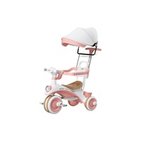 Tricycle musical à 3 roues pour enfants, poussette anti-basculement, aide à la marche, voiture à pousser en plastique pour garçons et filles