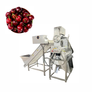 Máquina Despulpadora de Cerezas Comercial en Oferta, Máquina para Eliminar Semillas de Frutas a Bajo Precio - Product Image 3