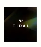 Abonnement Premium Tidal Music 12 mois, comptes Tidal, abonnement Tidal Hifi Plus 1 an