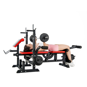 Banco de Ejercicios Multifuncional de Metal Ajustable para Gimnasio en Casa, Capacidad Máxima de Usuario 120 kg - Product Image 5