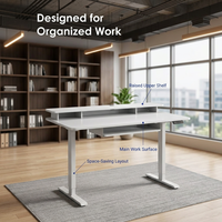 Bureau debout électrique ergonomique personnalisé à double plateau en fer, à moteur unique, à 2 niveaux, avec hauteur réglable