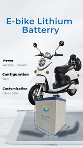 Gotion 48V 20Ah LiFePO4バッテリー高容量マルチユース設計低自己放電1000-2000サイクル0-45操作 - Product Image 2