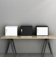 Casier polyvalent de rangement,, Cubes en métal, pour montage mural, petite armoire