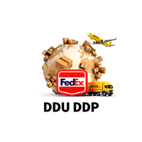 Transitaire maritime LCL+Express Chine CL/CO/CA/AR/MX/PE/BR Agent d'expédition DDP porte-à-porte pour marchandises générales et spéciales