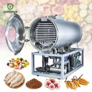 Máquina Liofilizadora Comercial Grande para Fresas y Café, Secadora por Congelación para China - Product Image 1