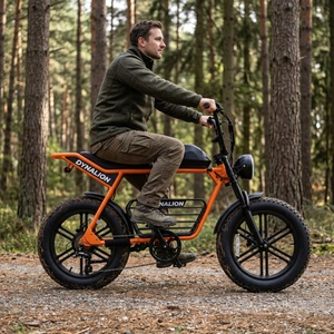 Vélo électrique à gros pneus orange vif avec phare vintage, vélo silencieux pour la randonnée en plein air et l'observation des oiseaux - Product Image 6