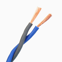 Câbles électriques en cuivre à 2 conducteurs, paire torsadée RVS, câble flexible isolé en PVC, 0,5-6 mm, utilisation pour alarme/résistance au feu, construction