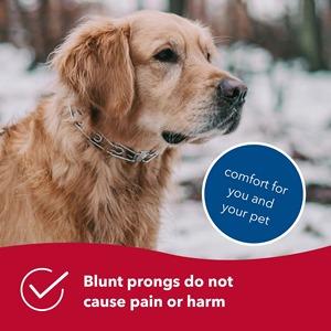 Stahl verchromtes Hunde zinken halsband mit Komfort gummis pitzen Verstellbare Edelstahl-Hundetraining-Zinken halsbänder - Product Image 4