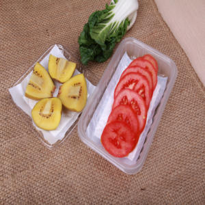 High Quality Absorbent <b>Pad</b> for Meat, Seafood and Poultry - Product Image 6