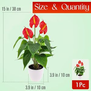Bouquet d'Anthurium Rouge Artificiel Effet Naturel, 12 à 18 Têtes, Plante Verte Artificielle, Fleur Artificielle pour Décoration Intérieure Salon - Product Image 4