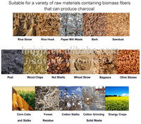 Machine de fabrication de briquettes de biomasse écologiques à partir de sciure de bois, de paille et de coques de riz, ligne de production de briquettes de biocharbon