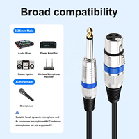 Kabel Mikrofon XLR Female ke 1/4 Inch (6.35mm) TRS Seimbang untuk Aplikasi Mixer, Gitar, Mobil, HDTV