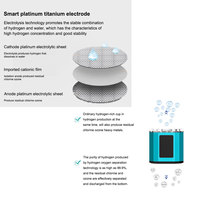 Bouteille d'eau hydrogénée moléculaire H2 300 ml, technologie SPE PEM, 5000 PPB, haute concentration, ioniseur d'eau hydrogénée portable, certifié CE